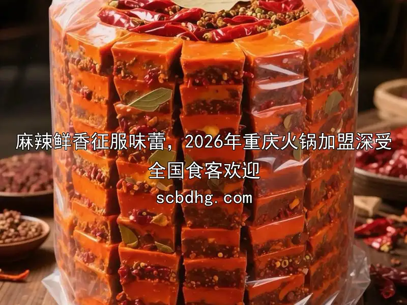 麻辣鲜香征服味蕾，2026年重庆火锅加盟深受全国食客欢迎