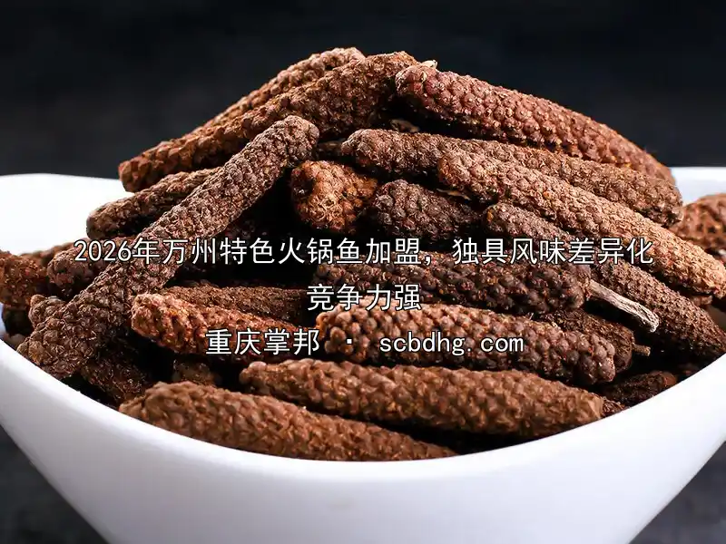 2026年万州特色火锅鱼加盟，独具风味差异化竞争力强