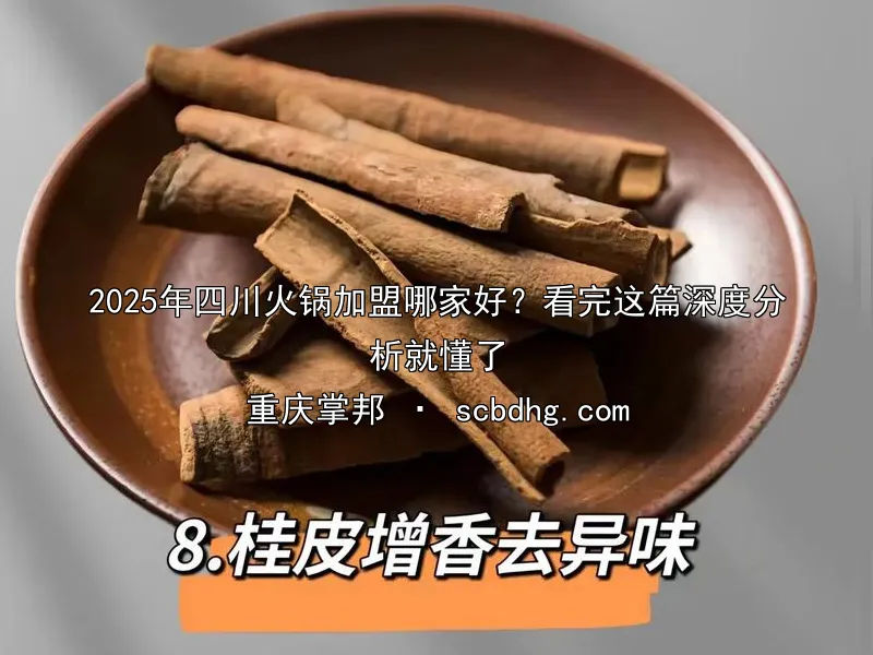 2025年四川火锅加盟哪家好？看完这篇深度分析就懂了