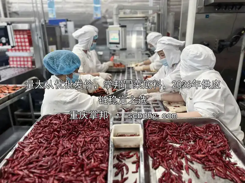 量大从优批发价，掌邦冒菜底料，2026年供应链稳定之选