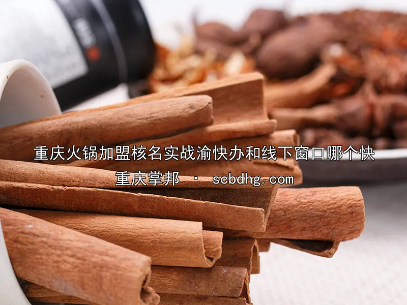 重庆火锅加盟核名实战渝快办和线下窗口哪个快